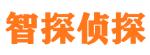 梨树外遇出轨调查取证